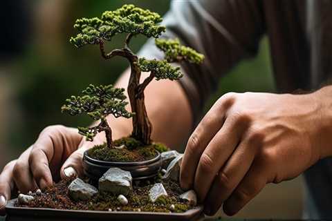 The Best Fertilizer for Bonsai Trees in Honolulu