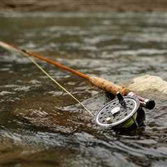 Fly Fishing Reels: A Beginner’s Guide for 2024