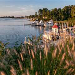 What is virginia's northern neck?