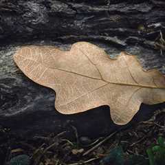 Pathways (Dry Leaf) II