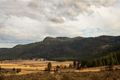 The Impact of Northwest Oregon's Natural Landscape on Local Artists