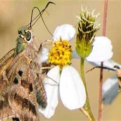 Landscaping Pests in Camden County, New Jersey: How to Keep Your Yard Pest-Free