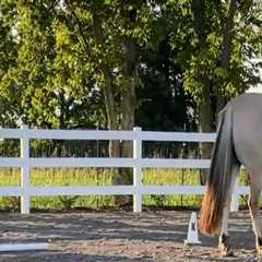 Unleashing the Beauty of Jefferson County, Kentucky: Horseback Riding Trails and More