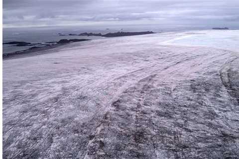 Vast ecosystem of microalgae accelerates ice melt on Antarctic ice cap