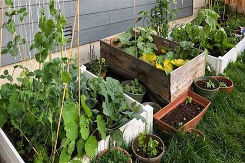 The Growing World of Gardening in King County, Washington
