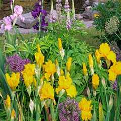 Creating The Perfect Orchid Sanctuary In Murfreesboro: Wild Animal Removal Tips For A Flourishing..