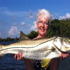 The Expert's Guide to Choosing the Best Bait for Fishing Charters in Leon County, Florida