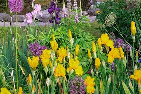 Creating The Perfect Orchid Sanctuary In Murfreesboro: Wild Animal Removal Tips For A Flourishing..
