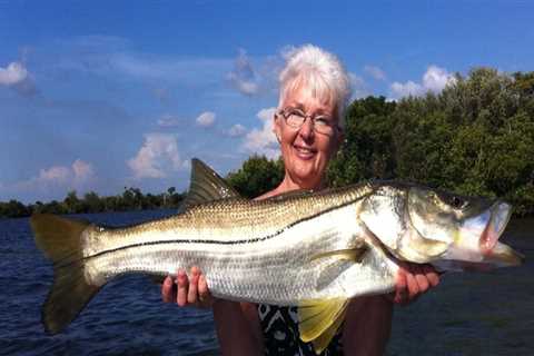 The Expert's Guide to Choosing the Best Bait for Fishing Charters in Leon County, Florida
