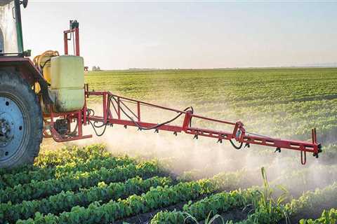 The Government's Crucial Role in Supporting Agriculture and Forestry in Gulfport, MS