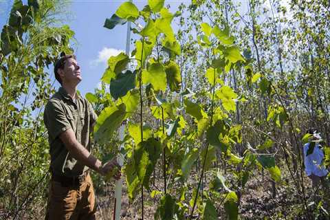 Exploring the Educational and Training Opportunities for Agriculture and Forestry in Gulfport, MS