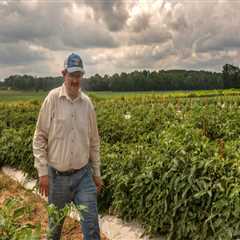 The Importance of Cooperatives and Associations for Farmers in Southern Mississippi