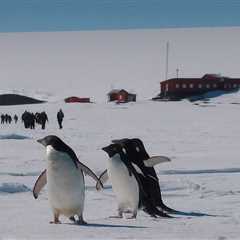 More and more tourists are flocking to Antarctica. Let’s stop it from being loved to death