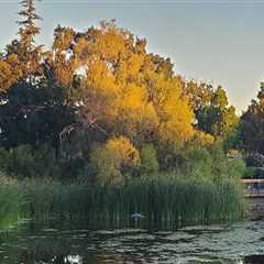 The Ultimate Guide to Photography Studios in Contra Costa County, California