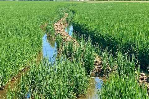 The Process of Obtaining a Farm Loan in Southern Mississippi