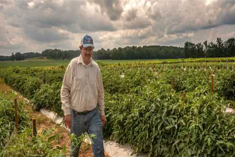The Importance of Cooperatives and Associations for Farmers in Southern Mississippi