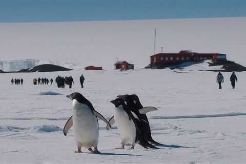 More and more tourists are flocking to Antarctica. Let’s stop it from being loved to death