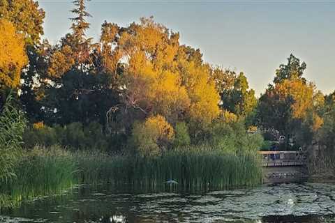 The Ultimate Guide to Photography Studios in Contra Costa County, California
