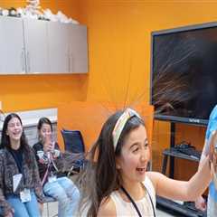 The Impact of Virtual Youth Projects in Fairfax County, Virginia