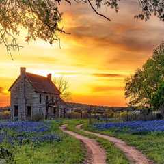 The Importance of Professional Photographers in West Central Texas