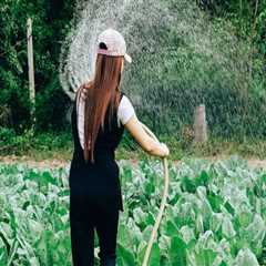 The Vital Role of Women in Farming: Empowering the Future of Agriculture in Salt Lake County, Utah