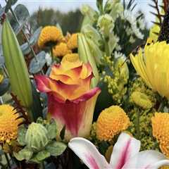 From Pests To Perfection: How Extermination Companies Enhance Orchid Gardening In Fayetteville, GA