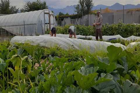 Supporting Farmers in Salt Lake County, Utah: An Expert's Perspective