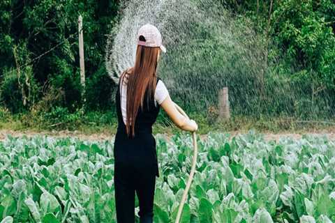 The Rise of Female Farmers in Salt Lake County, Utah