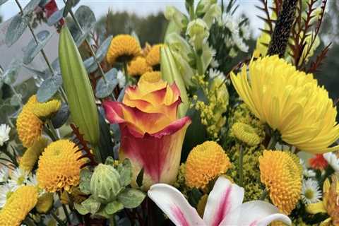 From Pests To Perfection: How Extermination Companies Enhance Orchid Gardening In Fayetteville, GA