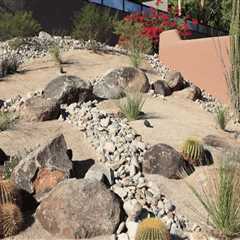 Creating a Thriving Desert Garden in Pinal County, Arizona