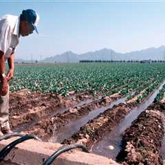 Gardening in Pinal County, Arizona: Tips for Understanding Watering Restrictions