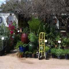 Gardening on a Budget in Pinal County, Arizona: Tips from an Expert