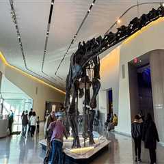 The Ultimate Guide to the Best Exhibits in Northeast Ohio