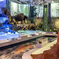 Discovering the Rich Tapestry of Exhibits and Special Events in Northeast Ohio