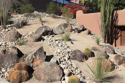 Creating a Thriving Desert Garden in Pinal County, Arizona