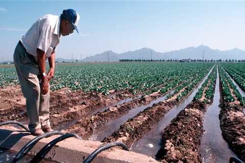 Gardening in Pinal County, Arizona: Tips for Understanding Watering Restrictions