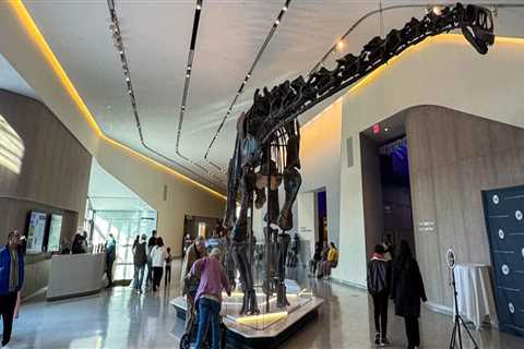 The Ultimate Guide to the Best Exhibits in Northeast Ohio