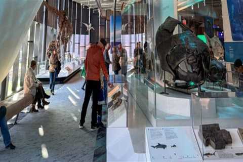 A Comprehensive Guide to the Best Exhibits in Northeast Ohio