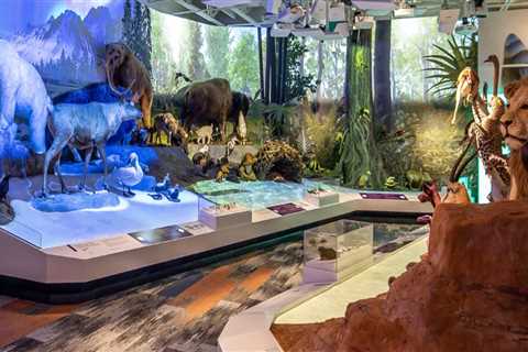 Discovering the Rich Tapestry of Exhibits and Special Events in Northeast Ohio