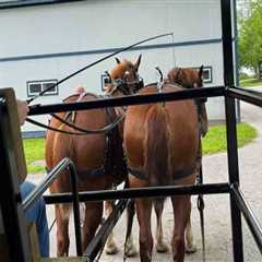 Navigating the Parking Situation for Exhibits in Wilder, Kentucky: A Comprehensive Guide