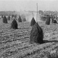 The Evolution of Farming in Waxhaw, North Carolina: A Historical Perspective