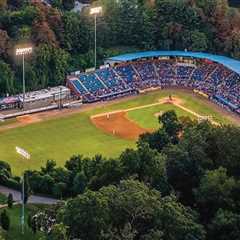 Exploring Government Programs and Subsidies for Farmers in Waxhaw, North Carolina