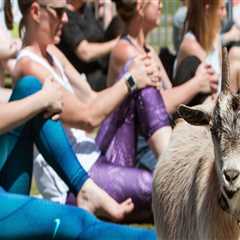 Exploring Agritourism Opportunities for Farmers in Waxhaw, North Carolina