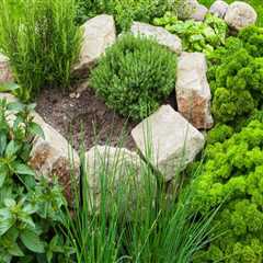 Applying Permaculture Principles for a Thriving Sustainable Garden