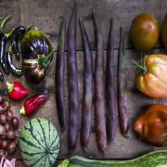 The Role of Heirloom Seeds in Promoting Sustainable Gardening Practices