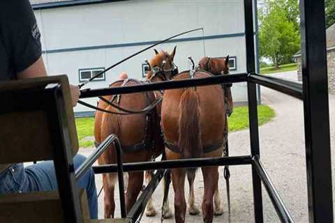 Navigating the Parking Situation for Exhibits in Wilder, Kentucky: A Comprehensive Guide