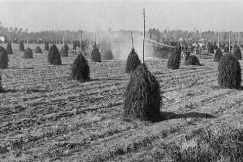 The Evolution of Farming in Waxhaw, North Carolina: A Historical Perspective