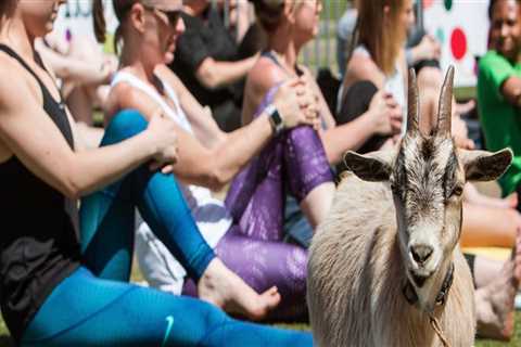 Exploring Agritourism Opportunities for Farmers in Waxhaw, North Carolina