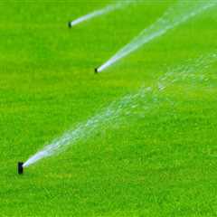 Mixing Fertilizers for a Healthy Lawn: What You Need to Know