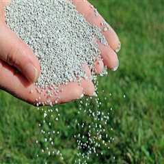 Understanding Key Nutrients in Lawn Fertilizers for Optimal Lawn Health